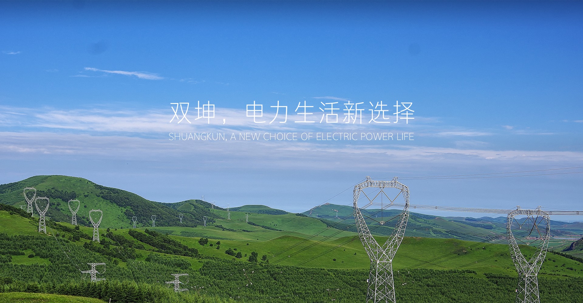 上海双坤电气科技有限公司